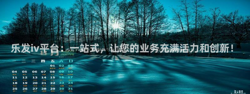 天天购彩代理注册官网入口：乐发iv平台：一站式，让您的业务充满活力和创新！