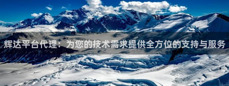 天天购彩环保：辉达平台代理：为您的技术需求提供全方位的支持与服务