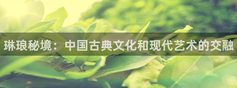 天天购彩平台开户链接：琳琅秘境：中国古典文化和现代艺术的交融