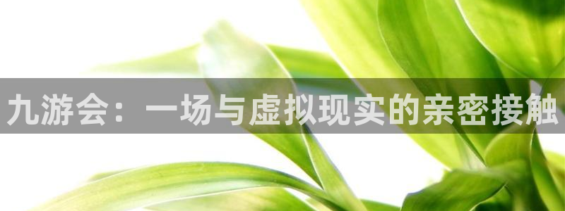 上海天天购彩汽车电子有限公司：九游会：一场与虚拟现实的亲密接触