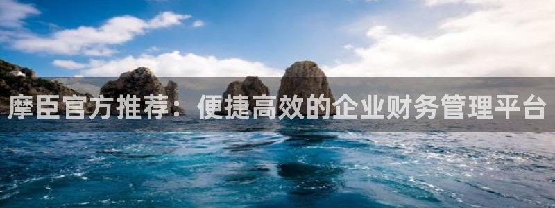 天天购彩体育在线注册：摩臣官方推荐：便捷高效的企业财务管理平台