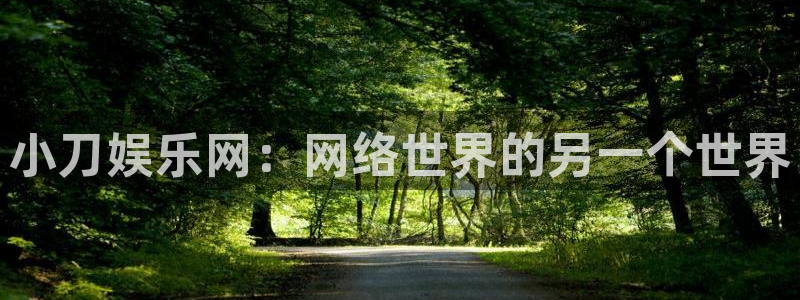 天天购彩平台总代理：小刀娱乐网：网络世界的另一个世界