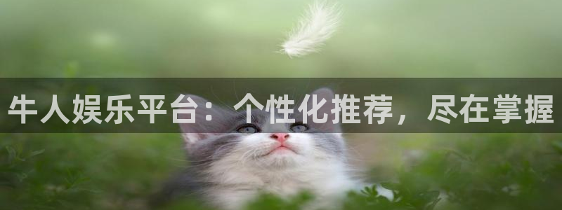 天天购彩平台在线注册：牛人娱乐平台：个性化推荐，尽在掌握