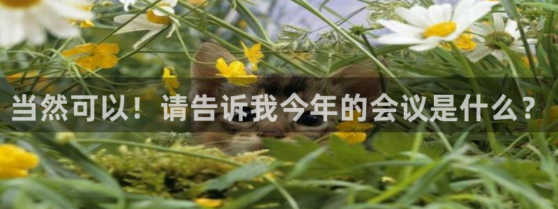 天天购彩5注册：当然可以！请告诉我今年的会议是什么？