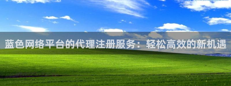 成都天天购彩电子有限公司：蓝色网络平台的代理注册服务：轻松高效的新机遇