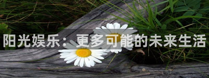 天天购彩体育热门赛事有哪些：阳光娱乐：更多可能的未来生活