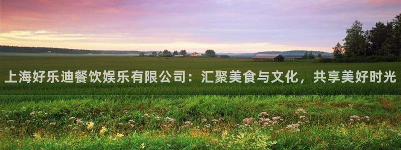 天天购彩招商：上海好乐迪餐饮娱乐有限公司：汇聚美食与文化，共享美好时光