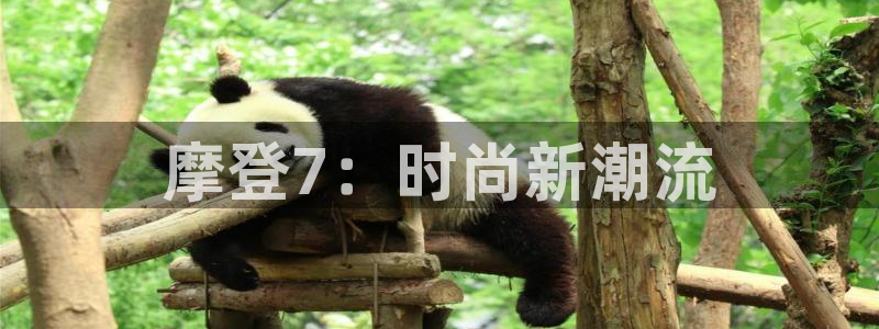 天天购彩体育平台登录入口：摩登7：时尚新潮流