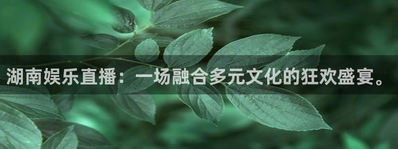 天天购彩注册：湖南娱乐直播：一场融合多元文化的狂欢盛宴。