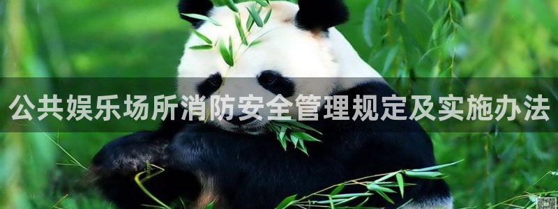 天天购彩体育官网注册：公共娱乐场所消防安全管理规定及实施办法
