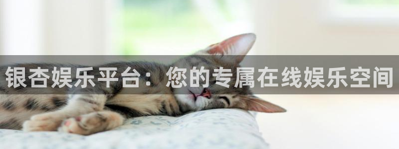 天天购彩官网：银杏娱乐平台：您的专属在线娱乐空间