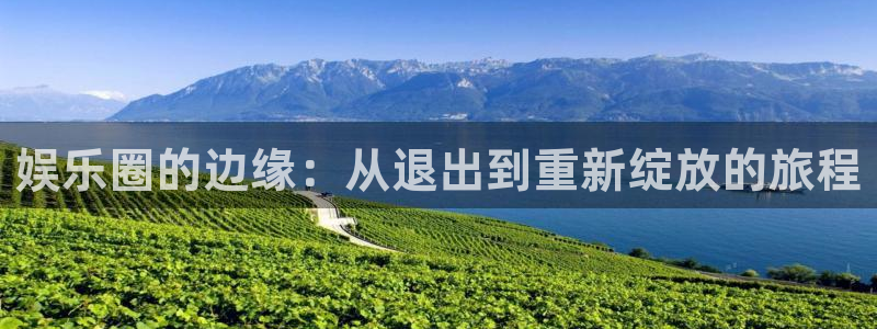 天天购彩5招商：娱乐圈的边缘：从退出到重新绽放的旅程