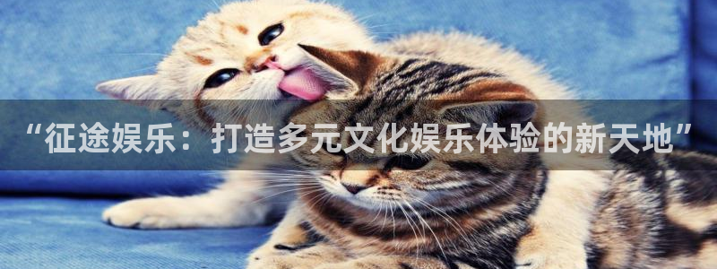 天天购彩体育官网注册：“征途娱乐：打造多元文化娱乐体验的新天地”