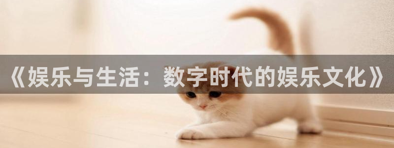 天天购彩体育娱乐注册链接：《娱乐与生活：数字时代的娱乐文化》