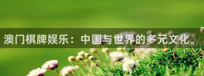 天天购彩2登录入口：澳门棋牌娱乐：中国与世界的多元文化。