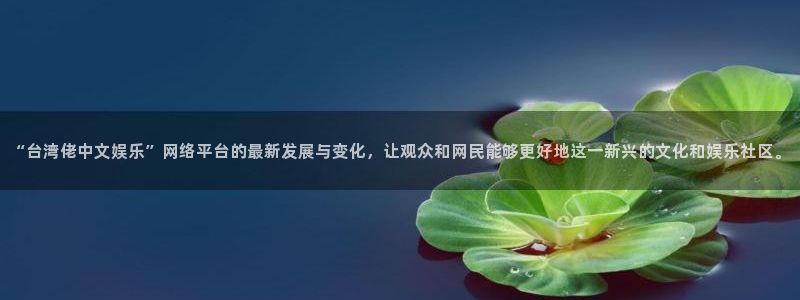 德国天天购彩集团：“台湾佬中文娱乐”网络平台的最新发展与变化，让观众和网民能够更