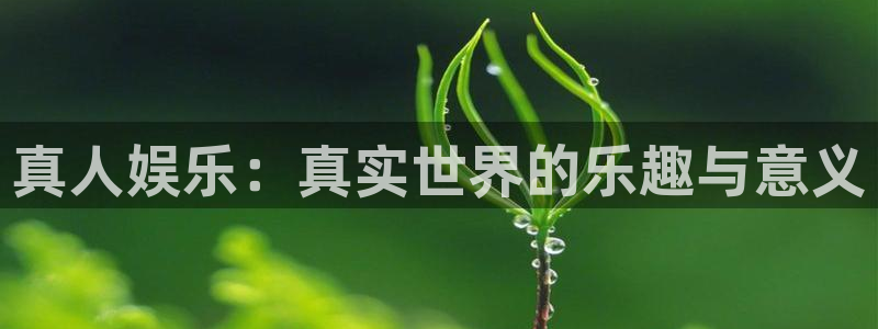 天天购彩官网：真人娱乐：真实世界的乐趣与意义