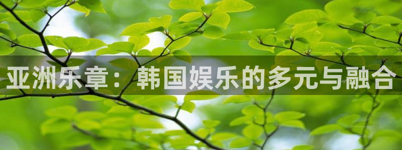 天天购彩2平台注册：亚洲乐章：韩国娱乐的多元与融合