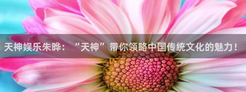 天天购彩凯捷平台：天神娱乐朱晔：“天神”带你领略中国传统文化的魅力！