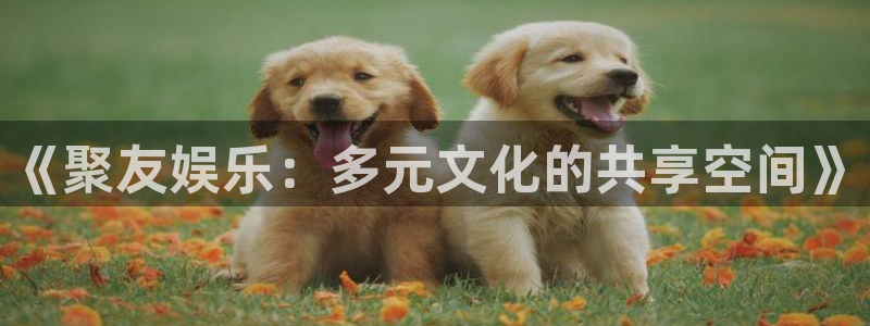 天天购彩体育凯捷平台主管：《聚友娱乐：多元文化的共享空间》