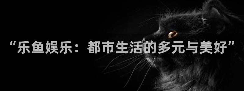 天天购彩2平台注册：“乐鱼娱乐：都市生活的多元与美好”