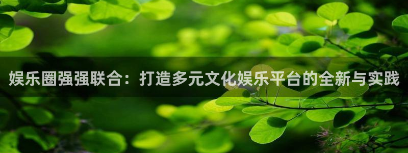 天天购彩体育平台开号链接：娱乐圈强强联合：打造多元文化娱乐平台的全新与实践