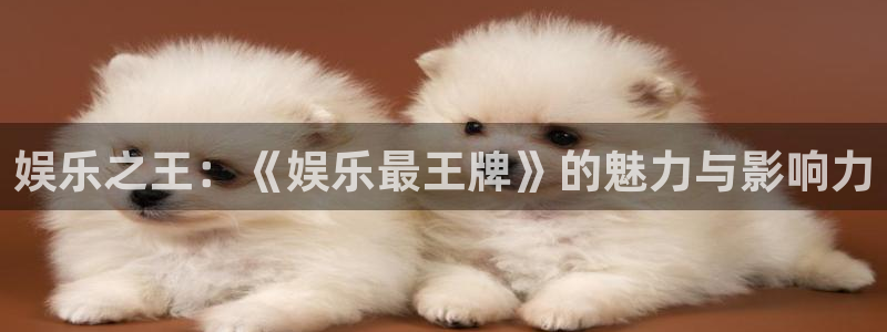 成都天天购彩电子有限公司：娱乐之王：《娱乐最王牌》的魅力与影响力