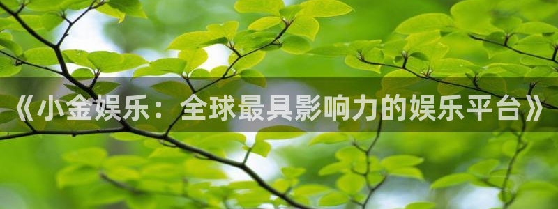 天天购彩招商：《小金娱乐：全球最具影响力的娱乐平台》