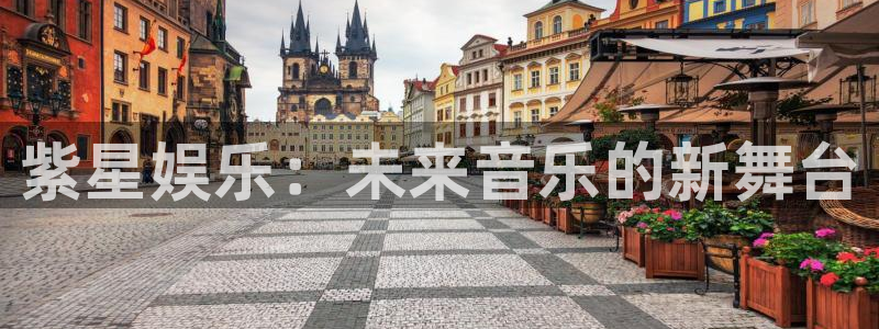 天天购彩平台主管：紫星娱乐：未来音乐的新舞台
